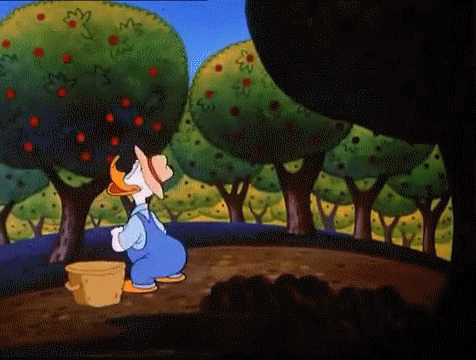 A GIF of Donald Duck, a cartoon character, picking apples from a tree and putting them in a basket. 